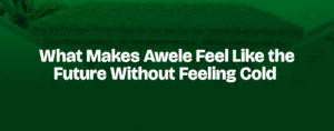 Read more about the article From Layout to Legacy: Why Awele Feels Like More Than Real Estate