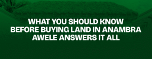 Read more about the article What You Should Know Before Buying Land in Anambra — Awele Answers It All