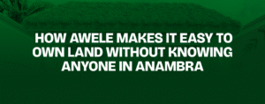 Read more about the article How Awele Makes It Easy to Own Land Without Knowing Anyone in Anambra