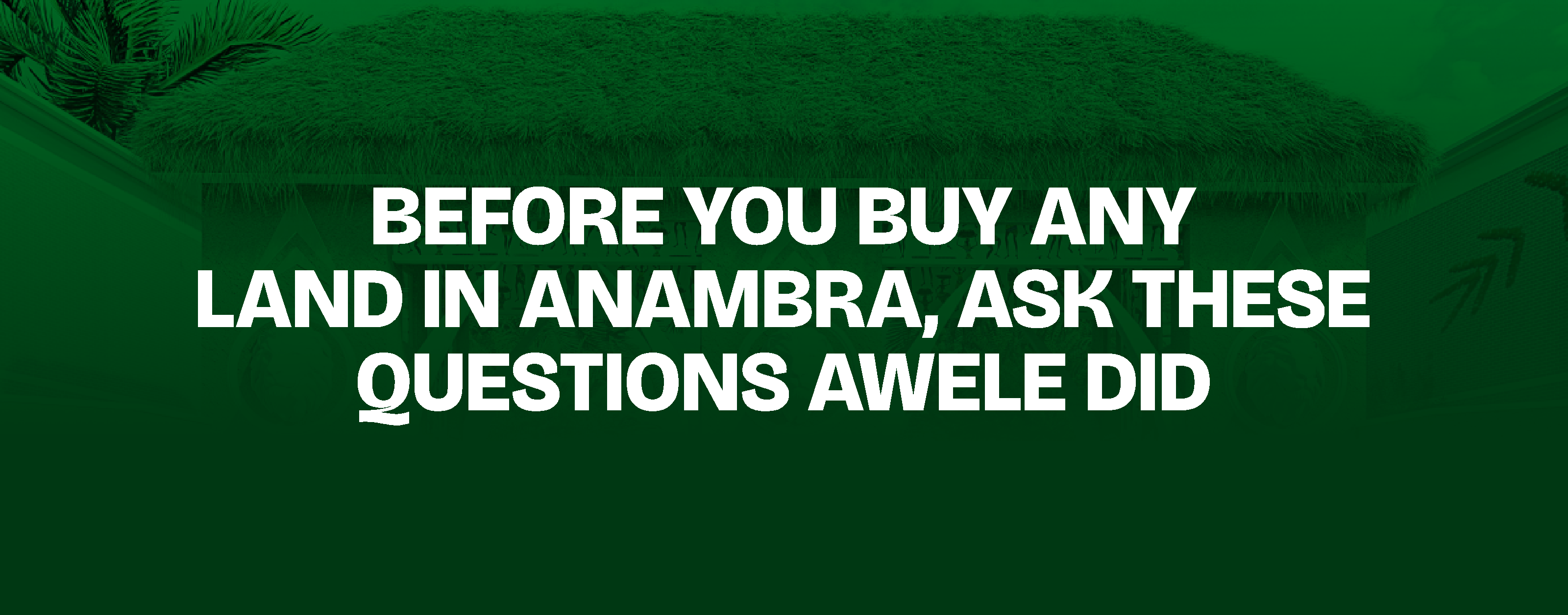 Read more about the article Before You Buy Any Land in Anambra, Ask These Questions — Awele Did