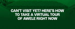 Read more about the article Can’t Visit Yet? Here’s How to Take a Virtual Tour of Awele Right Now