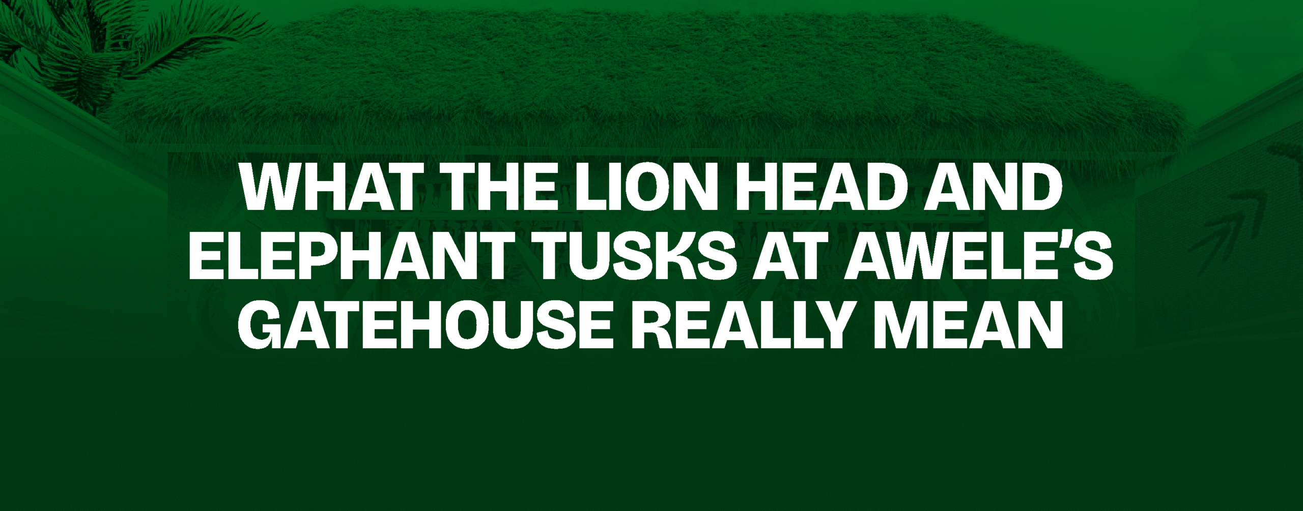 Read more about the article What the Lion Head and Elephant Tusks at Awele’s Gatehouse Really Mean