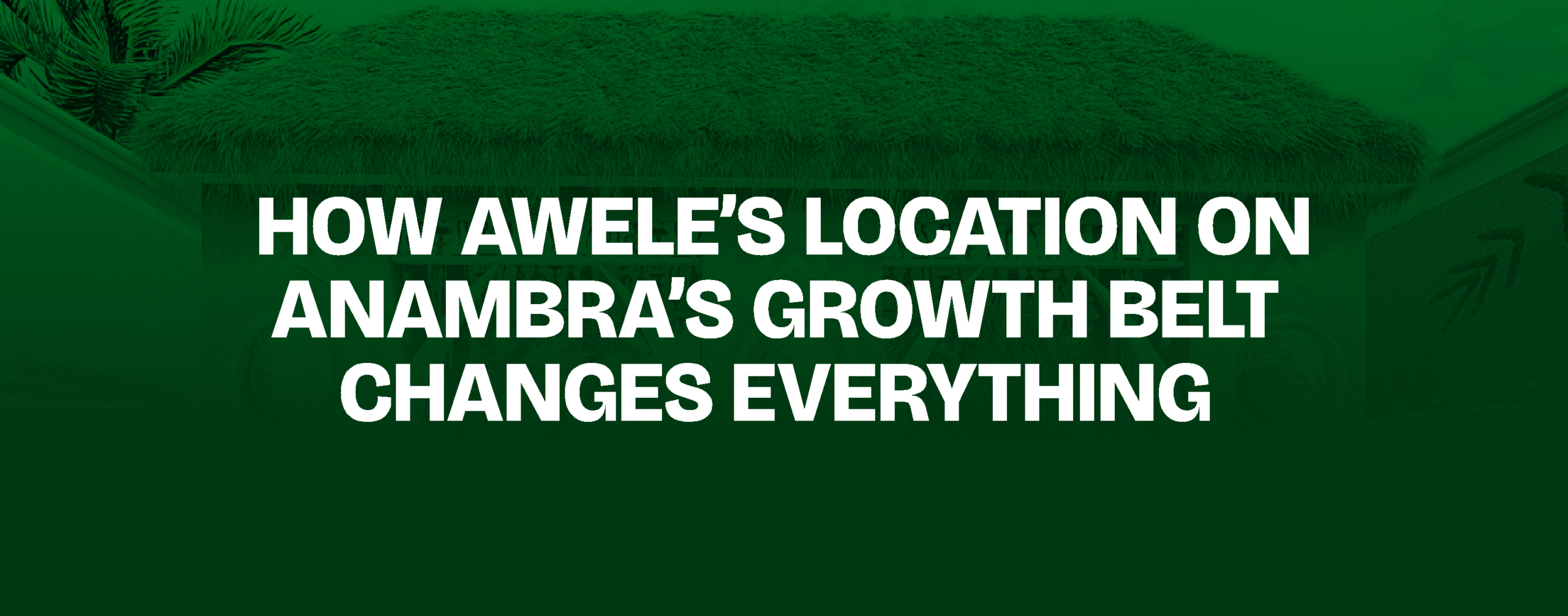 Read more about the article How Awele’s Location on Anambra’s Growth Belt Changes Everything