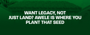 Read more about the article Want Legacy, Not Just Land? Awele Is Where You Plant That Seed