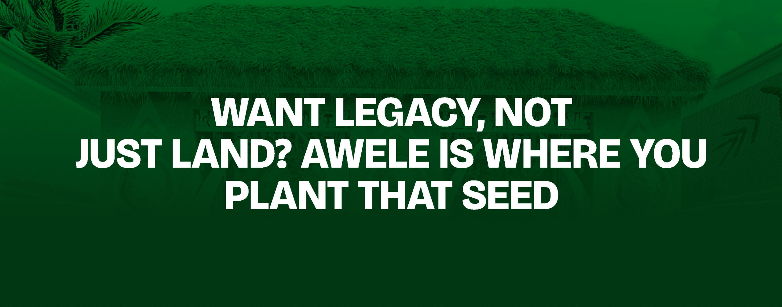 Read more about the article Want Legacy, Not Just Land? Awele Is Where You Plant That Seed