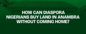 Read more about the article How Can Diaspora Nigerians Buy Land in Anambra Without Coming Home?