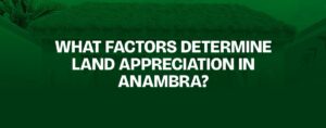 Read more about the article What Factors Determine Land Appreciation in Anambra?