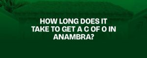 Read more about the article How Long Does It Take to Get a C of O in Anambra?