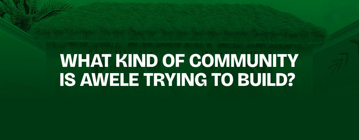 Read more about the article What Kind of Community Is Awele Trying to Build?