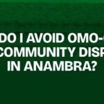 How Do I Avoid Omo-Onile and Community Disputes in Anambra?