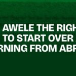 Is Awele the Right Place to Start Over After Returning From Abroad?