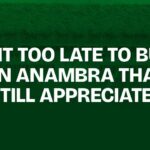 Is It Too Late to Buy Land in Anambra That Will Still Appreciate?